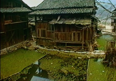 WhatAboutChina ganlan houses green pond2cr